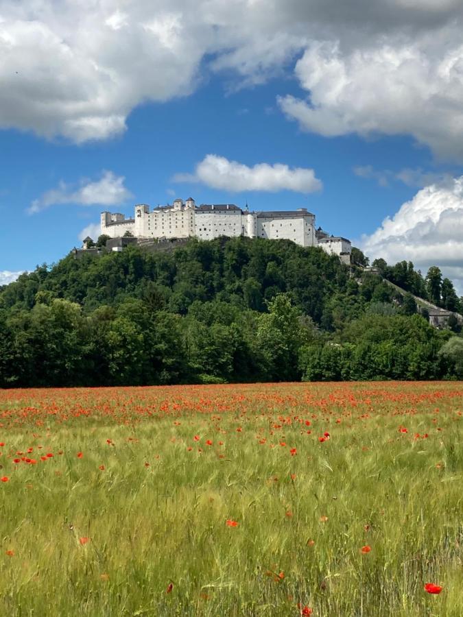 Haus Haslach Elsbethen Екстериор снимка