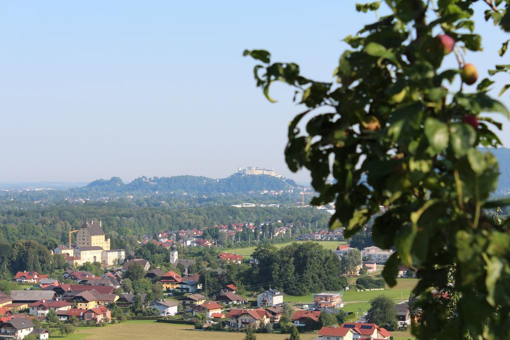 Haus Haslach Elsbethen Стая снимка